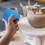 Pottery Tools Clay Tools for Pottery Glaze Sliding Trailer Bottle 4