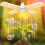 LED Grow Light Foldable Phyto Lamp Full Spectrum Bulb A 4