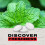 Trebor Softmints Peppermint Mints Multipack, Chewy Centre, Crunchy Shell, 18 x 179.6g 4