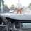 Caraccessoires Decoratie Khaki 3