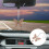 Caraccessoires Decoratie Khaki 10