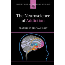 The Neuroscience of Addiction by Filbey Francesca Mapua University of
