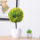 Piante Artificiali A Bonsai In Per 8