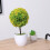 Piante Artificiali A Bonsai In Per 9