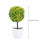 Piante Artificiali A Bonsai In Per 2
