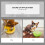 4 stücke hundefutterlöffel aus mit katzenpfoten-design 11