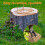 15 Pieces Copper Nails for Killing Tree Stump 4