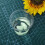 Thermoplastic Friendly Plastic Polycaprolactone 6