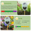 4-in-1 Soil Moisture Meter, Soil Moisture/Light/Nutrients/PH Meter 6