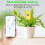 Tuya Smart Bluetooth Soil Tester Temperature and Humidity Meter 6