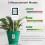 3 In 1 Soil Moisture Meter, For Temperature/Soil Moisture/PH Meter 5