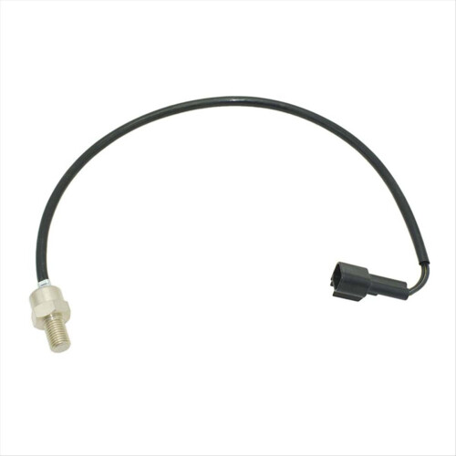 Thermosensor for PWC GP1300R Jet Boat 1