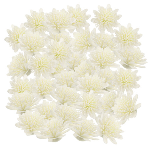 100 Unidades Flores Para Crisântemo Acessórios De