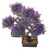 2 Unidades Árvore Bonsai Artificial Para Decoração 1
