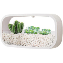 (White) Succulent Wall Planters,modern Square Transparent Hanging Succulents Pot For Balcony, Room And Patio Decor 25-26s