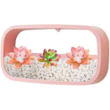 (Pink) Succulent Wall Planters,modern Square Transparent Hanging Succulents Pot For Balcony, Room And Patio Decor 25-26s