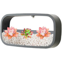 (Grey) Succulent Wall Planters,modern Square Transparent Hanging Succulents Pot For Balcony, Room And Patio Decor 25-26s