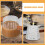 3Pcs De Para Espresso 180Ml Com Alça De 8