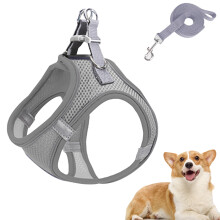 Hundsele Valp Katt Hundväst Selar för Små Mellanstora Hundar
