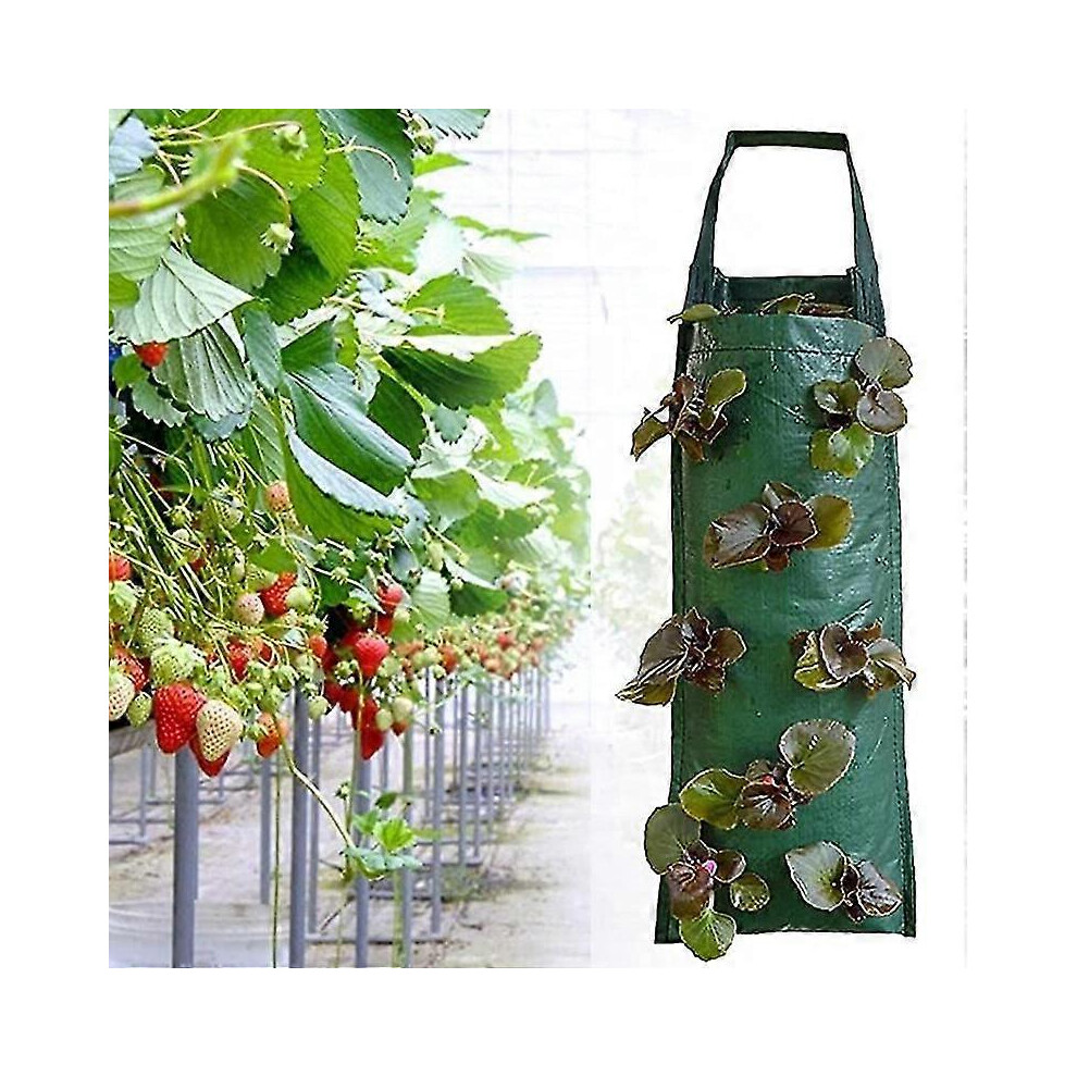 Strawberry planting bag, 3 hanging strawberry growing bags, planting bag, with 8 holes, vegetable garden growing bag, reusable for strawberries,