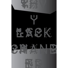 The Black Chamber. Surveillance Paranoia Invisibility amp the Internet
