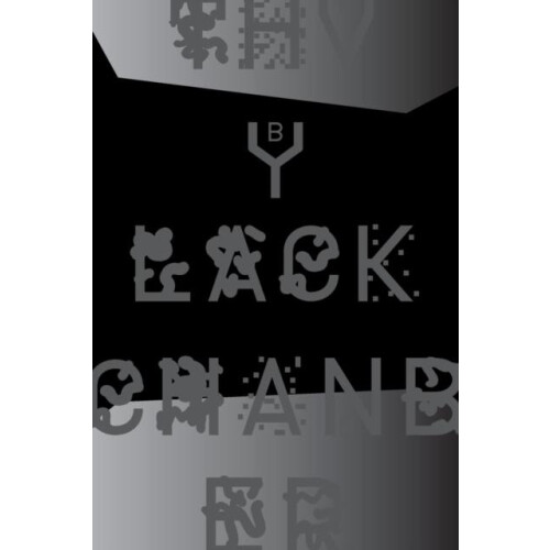 The Black Chamber. Surveillance Paranoia Invisibility amp the Internet