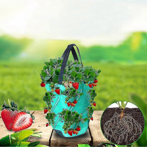 3-gallon multi-opening strawberry planting bag and pot 1