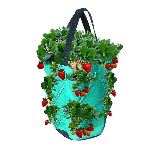 3-gallon multi-opening strawberry planting bag and pot 2