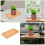 2 Pezzi Sottovasi In Bamboo Per Piante Bonsai 3