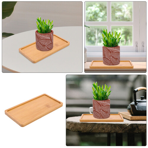 2 Pezzi Sottovasi In Bamboo Per Piante Bonsai 2