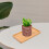 2 Pezzi Sottovasi In Bamboo Per Piante Bonsai 4