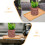 2 Pezzi Sottovasi In Bamboo Per Piante Bonsai 7