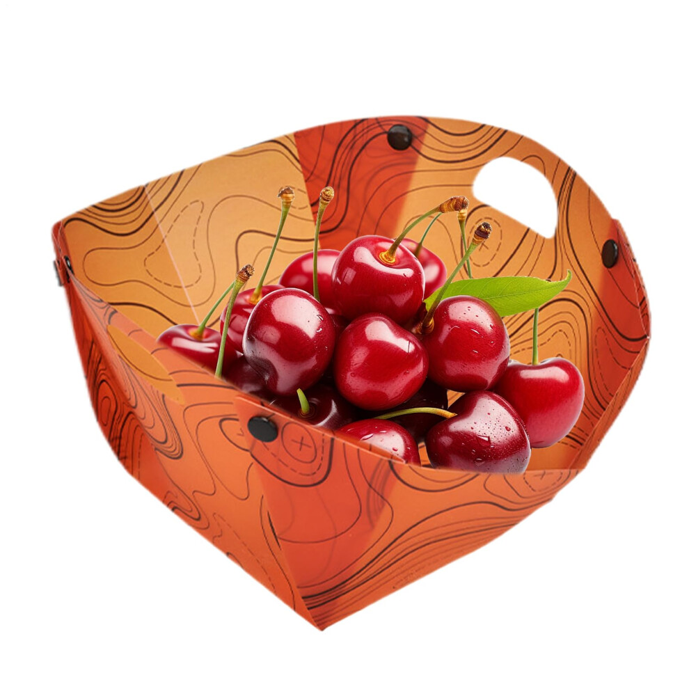 Foldable Bowls for Camping, Collapsible Silicone Camping Bowls, Leakproof Portable Tableware, BPA-Free, 2 Sizes-image-OPC-PMDPFJN-NEW