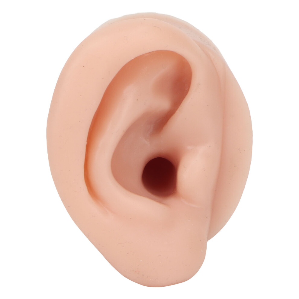Silicone Ear Model Medium Skin Color for Piercing & Earring Display