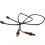 2X W21 RTL8812AU 802.11ac WIFI Module Network Camera Dual-Band Wireless Module HD Image Transfer Module 4