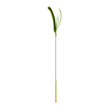Fun Setaria Grass Teaser Cats Toy Wand Stick for Active-Green