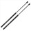 2Pcs Car Boot Gas for Fiesta Hatchback 1