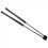 2Pcs Rear Trunk Spring Shock Lift Bar for 2005-2012 3