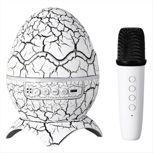 Karaoke Bluetooth Speaker
Projection Lamp 1