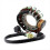 Motorcycle Generator Stator Coil for Grizzly 600 1