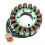 420296907 New Stator Coil for Max 1