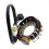 Motorcycle Generator Stator Coil for Grizzly 600 3