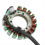 Motorcycle Generator Stator Coil for Grizzly 600 4