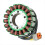 420296907 New Stator Coil for Max 3