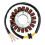 Motorcycle Ignition Stator Coil for 400 550 1