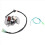 New ATV Engine Generator Stator Coil for 4
