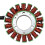 Motorcycle Generator Stator Coil for Accessories 4