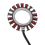 Motorcycle Generator Stator Coil for Accessories 3