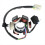 Motorcycle Stator Coil 6 Coil 5 Wire Stator for 50cc 70cc 4