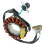 Stator Coil for CB500 CBR400 CBR500 13-23 5